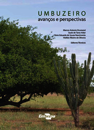 Thumbnail de Umbuzeiro: avanços e perspectivas.