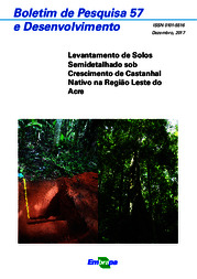 Thumbnail de Levantamento de solos semidetalhado sob crescimento de castanhal nativo na região leste do Acre.