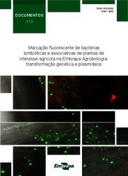 Thumbnail de Marcação fluorescente de bactérias simbióticas e associativas de plantas de interesse agrícola na Embrapa Agrobiologia: transformação genética e plasmídeos.