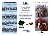 Thumbnail de Pós-colheita e agroindústria: boas práticas e a qualidade de castanha-do-Brasil.