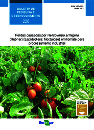 Thumbnail de Perdas causadas por Helicoverpa armigera (Hübner) (Lepidoptera: Noctuidae) em tomate para processamento industrial.
