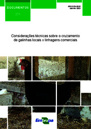 Thumbnail de Considerações técnicas sobre o cruzamento de galinhas locais x linhagens comerciais.