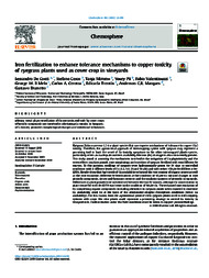 Thumbnail de Iron fertilization to enhance tolerance mechanisms to copper toxicity of ryegrass plants used as cover crop in vineyards.