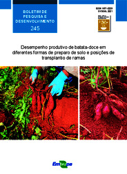 Thumbnail de Desempenho produtivo de batata-doce em diferentes formas de preparo de solo e posições de transplantio de ramas.