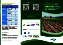 Thumbnail de Boas práticas agrícolas para o manejo de plantas daninhas e o uso de herbicidas na cultura do amendoim.