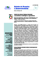 Thumbnail de Cultivar de abacaxi Turiaçu Amazonas: características morfológicas e agronômicas.