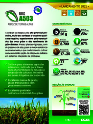 Thumbnail de BRS A503 arroz de terras altas