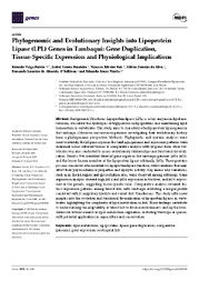 Thumbnail de Phylogenomic and evolutionary insights into lipoprotein lipase (LPL) genes in tambaqui: gene duplication, tissue-specific expression and physiological implications.