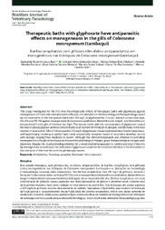 Thumbnail de Therapeutic baths with glyphosate have antiparasitic effects on monogeneans in the gills of Colossoma macropomum (tambaqui).