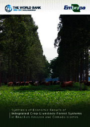 Thumbnail de Synthesis of economic results of integrated crop-livestock-forest-systems in Brazilian Amazon and Cerrado biomes.