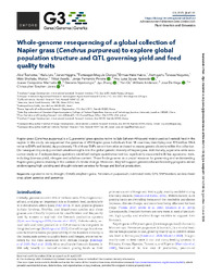 Thumbnail de Whole-genome resequencing of a global collection of Napier grass (Cenchrus purpureus) to explore global population structure and QTL governing yield and feed quality traits.