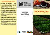 Thumbnail de BATATAS-DOCES recomendadas pe Embrapa.