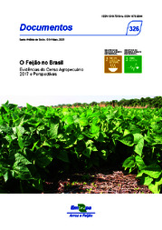 Thumbnail de O feijão no Brasil: evidências do Censo Agropecuário 2017 e perspectivas.