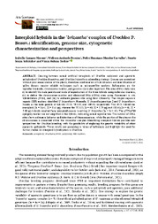 Thumbnail de Interploid hybrids in the ‘brizantha’ complex of Urochloa P. Beauv.: identification, genome size, cytogenetic characterization and perspectives.