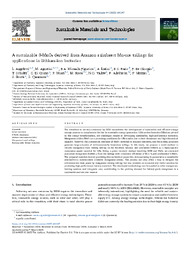Thumbnail de A sustainable ?-MnO? derived from Amazon rainforest Mn-ore tailings for applications in lithium-ion batteries.