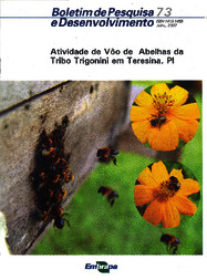 Thumbnail de Atividade de vôo de abelhas da tribo Trigonini em Teresina, PI.