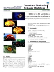 Thumbnail de Besouro do colorado Leptinotarsa decemlineata: artrópodes de importância quarentenária.