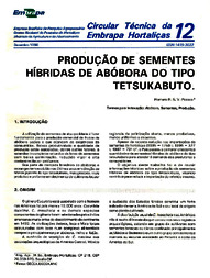 Thumbnail de Produção de sementes híbridas de abóbora do tipo Tetsukabuto.