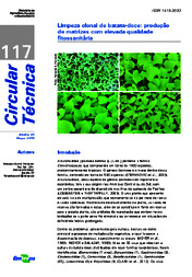 Thumbnail de Limpeza clonal de batata-doce: produção de matrizes com elevada qualidade fitossanitária.