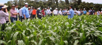 Dia de Campo