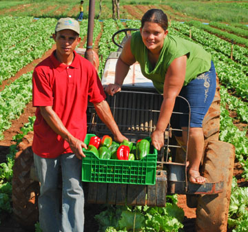 Agricultores familiares do Distrito Federal
