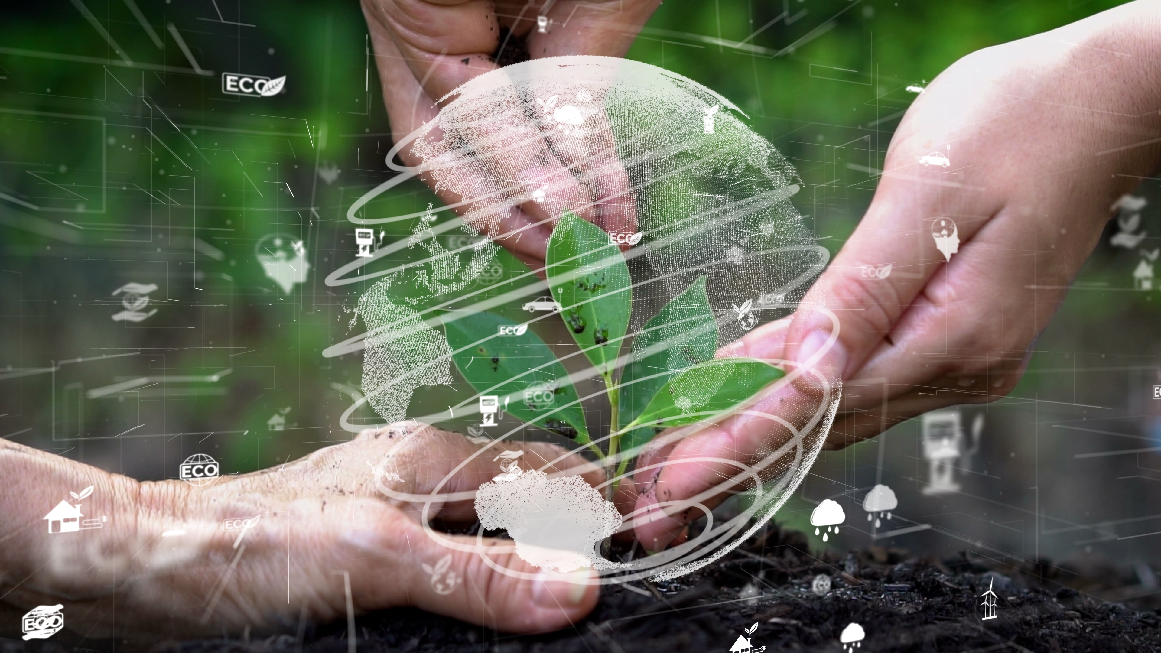 1. Sustentabilidade