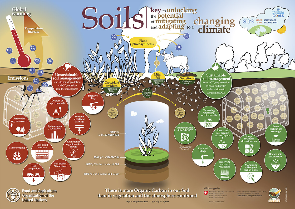 Soil Climate Poster - FAO