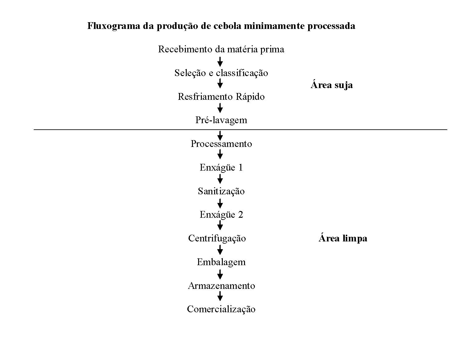 Fluxograma da produção de cebola minimamente processada
