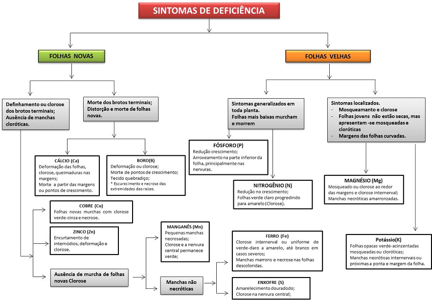 Fluxograma diagnóstico para identificação de deficiências comuns de nutrientes. Fluxograma diagnóstico para identificação de deficiências comuns de nutrientes.