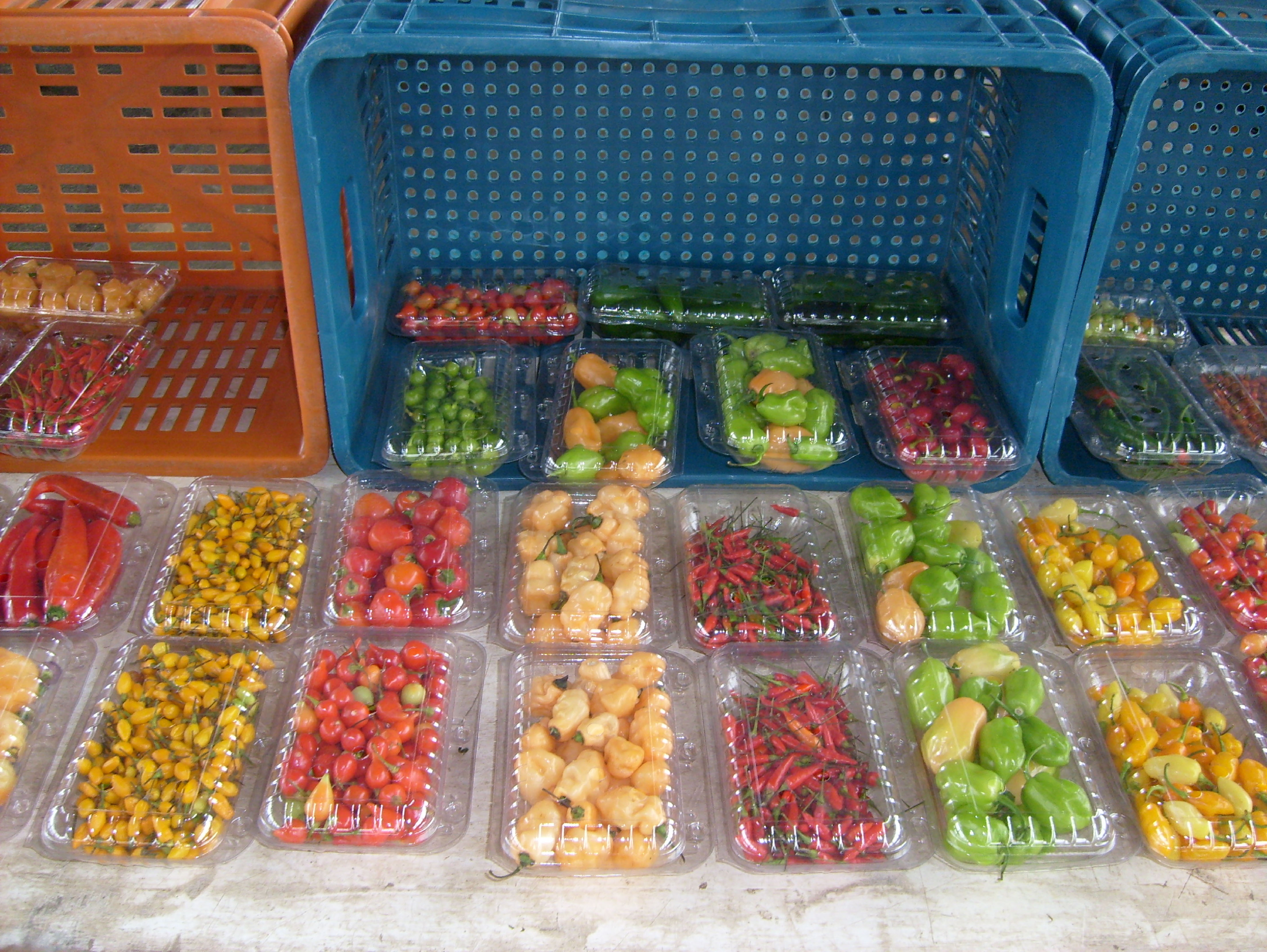 Pimentas in natura comercializadas em caixinhas plásticas