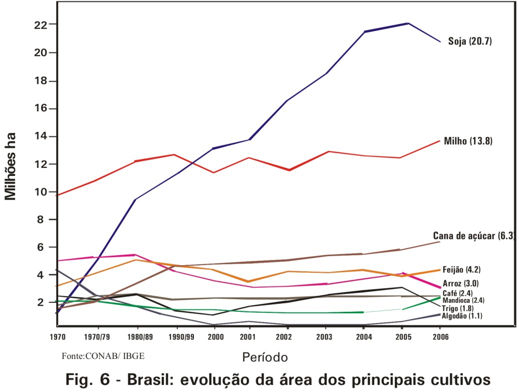 Brasil - Evolução da área dos principais cultivos