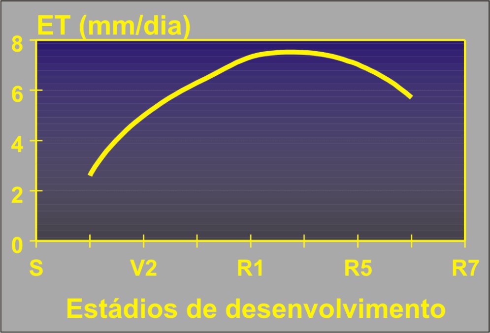 Evapotranspiração Evapotranspiração
