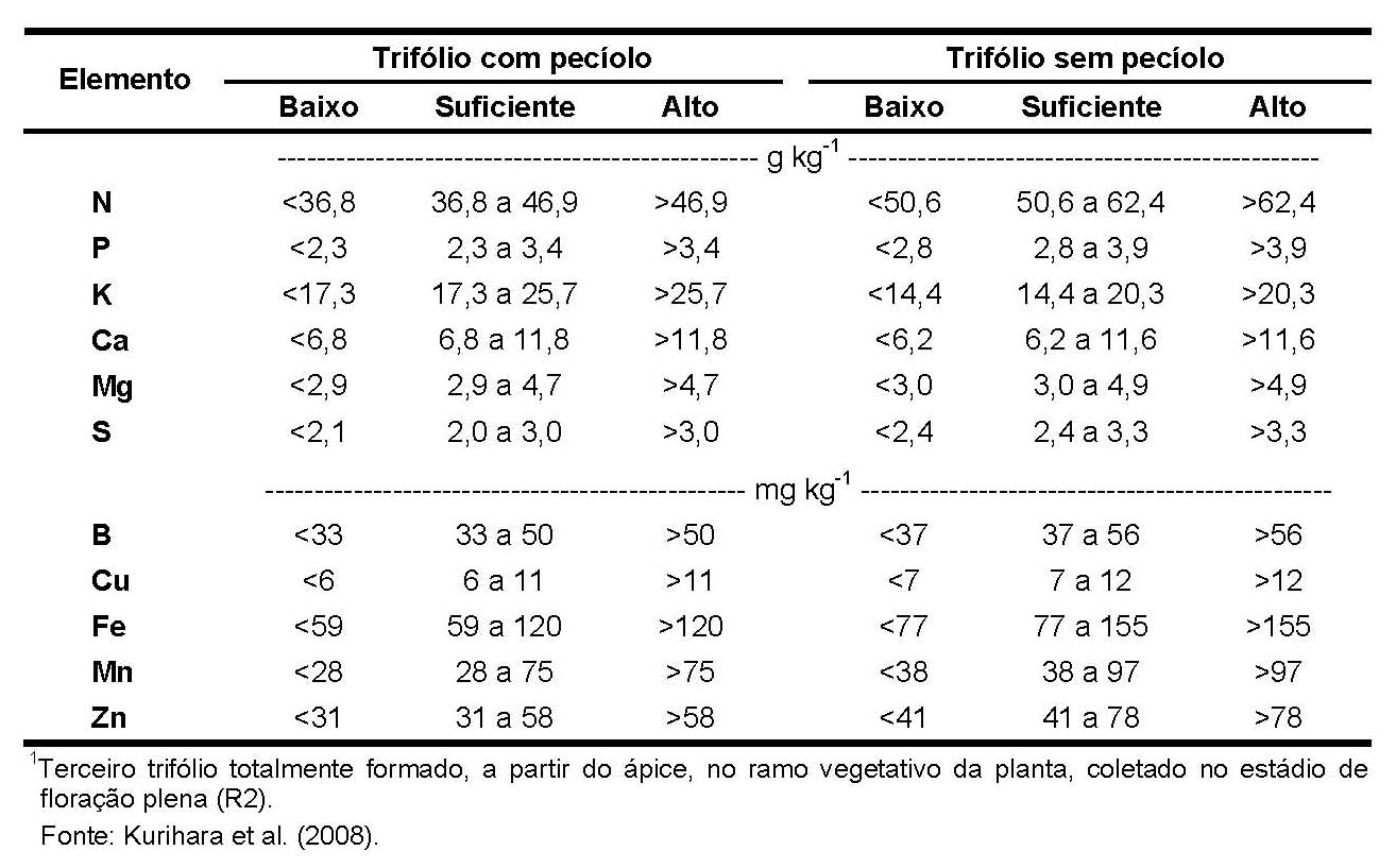 Tabela 4