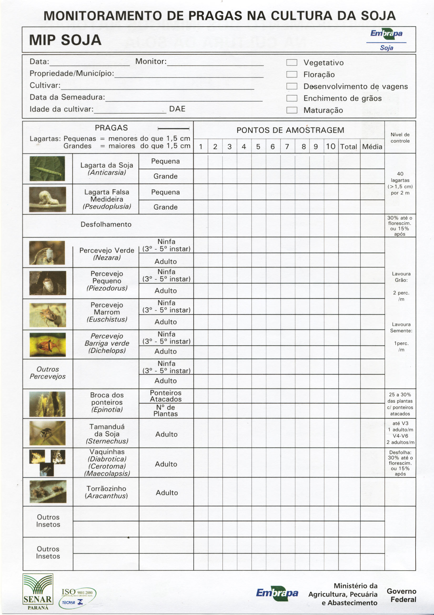 Ficha de monitoramento Ficha de monitoramento
