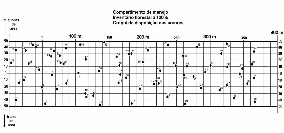 Inventário Florestal