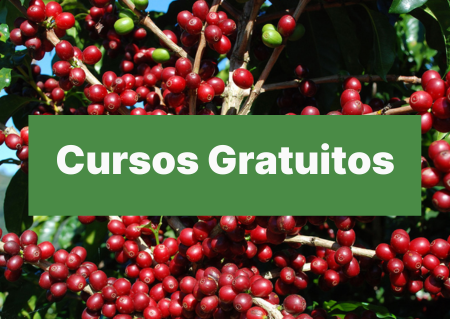 Cursos
