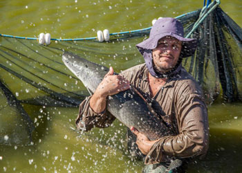 Embrapa Pesca e Aquicultura (Palmas/TO)
